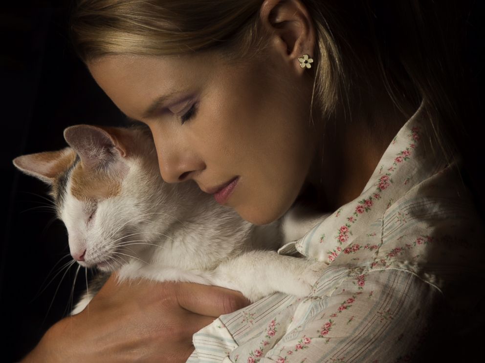 Bella, a blind foster cat cared for by Beth Stern.