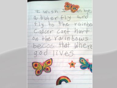 PHOTO: Wipeout host John Henson said a woman reached out to him over email, posing as a mother who had a dying daughter. Henson received pictures of journal entries and drawings from a girl named Scarlet but it all turned out to be a hoax.