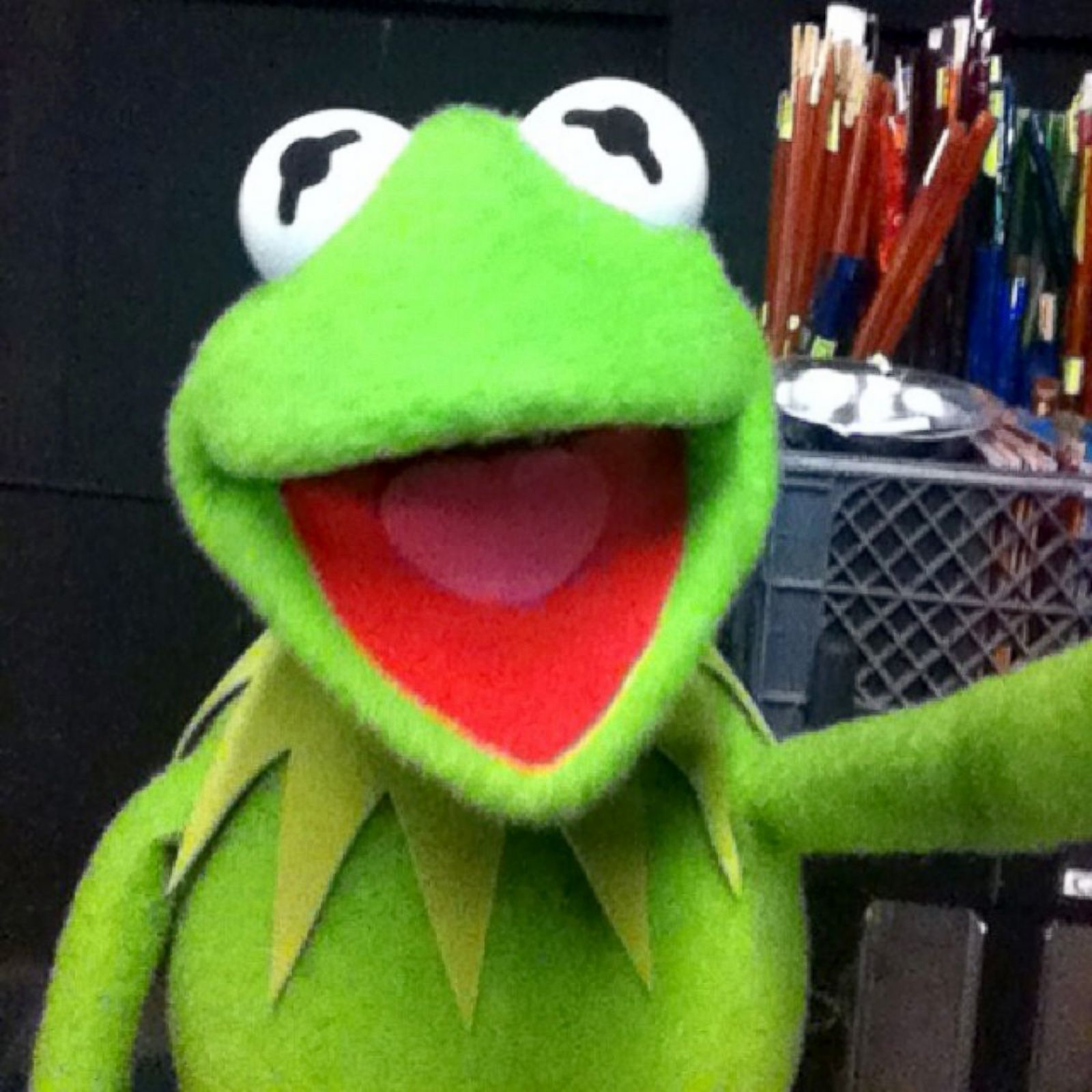 kermit the frog the muppets on puppets