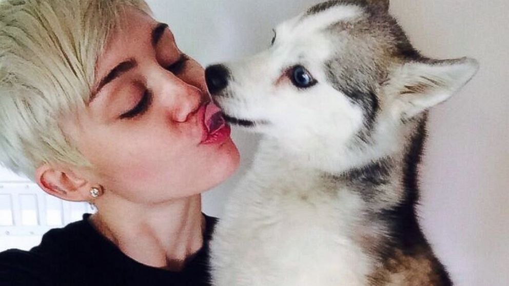 PHOTO: Miley Cyrus posted this photo with her dog, Floyd, to her Twitter, April 2, 2014.
