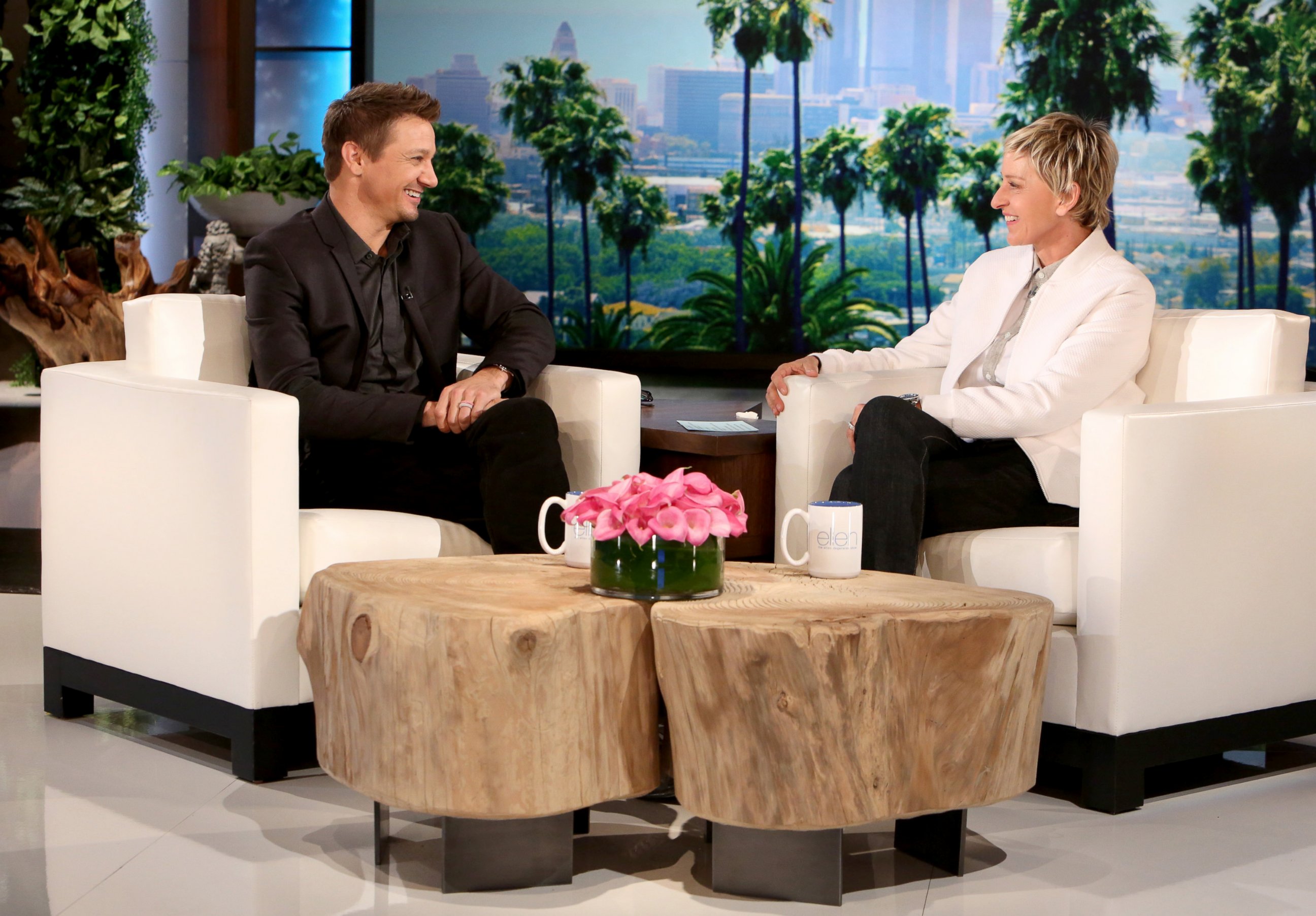 PHOTO: Jeremy Renner talks with Ellen DeGeneres on her talk show, April 15, 2015.