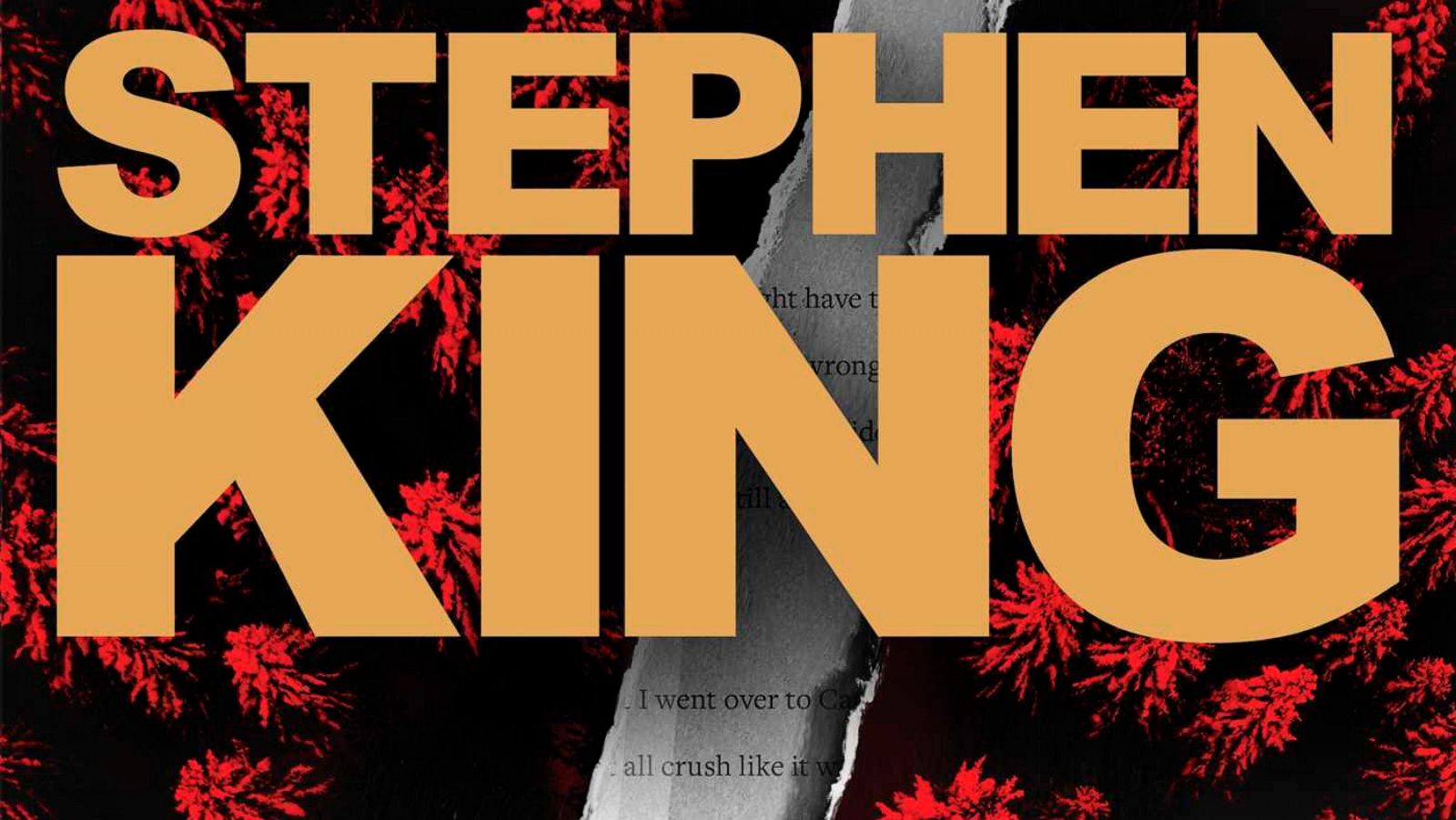Review Stephen King S Billy Summers Stars A Hitman Writer Abc News
