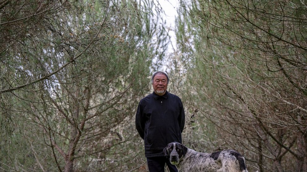 Dissident Chinese artist and activist Ai Weiwei poses for a photo in the garden of his country house in Montemor-o-Novo, Portugal, Tuesday, Dec. 6, 2022. Ai is taking heart from recent public protests in China over the authorities' strict COVID-19 po