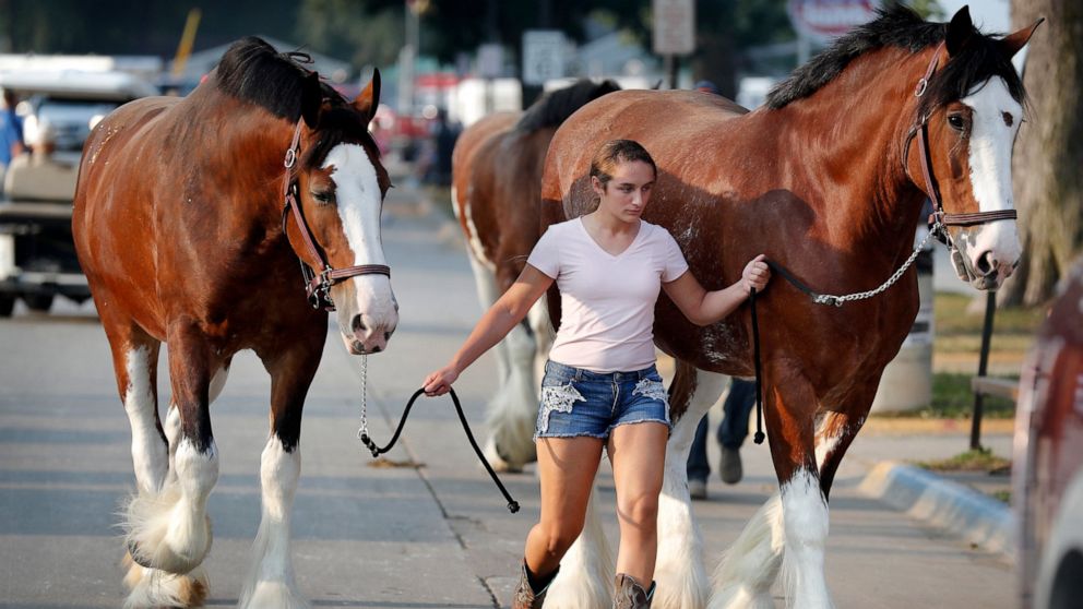 COVID-19 rates a worry as 1 million head for Iowa State Fair