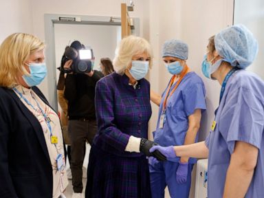 Prince Charles' wife Camilla tests positive for COVID-19