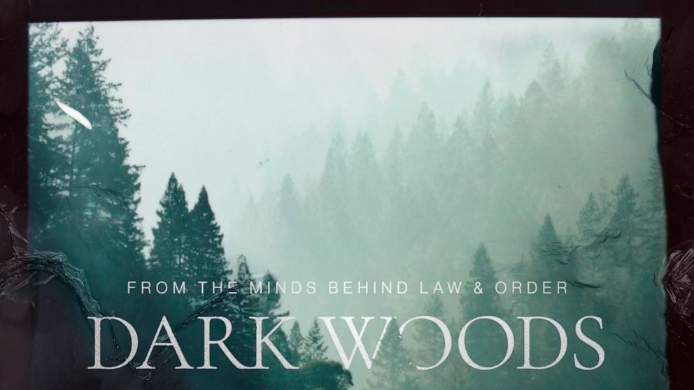 This image released by Wolf Entertainment shows art for the fiction podcast "Dark Woods," with Corey Stoll and Monica Raymund. (Wolf Entertainment via AP)