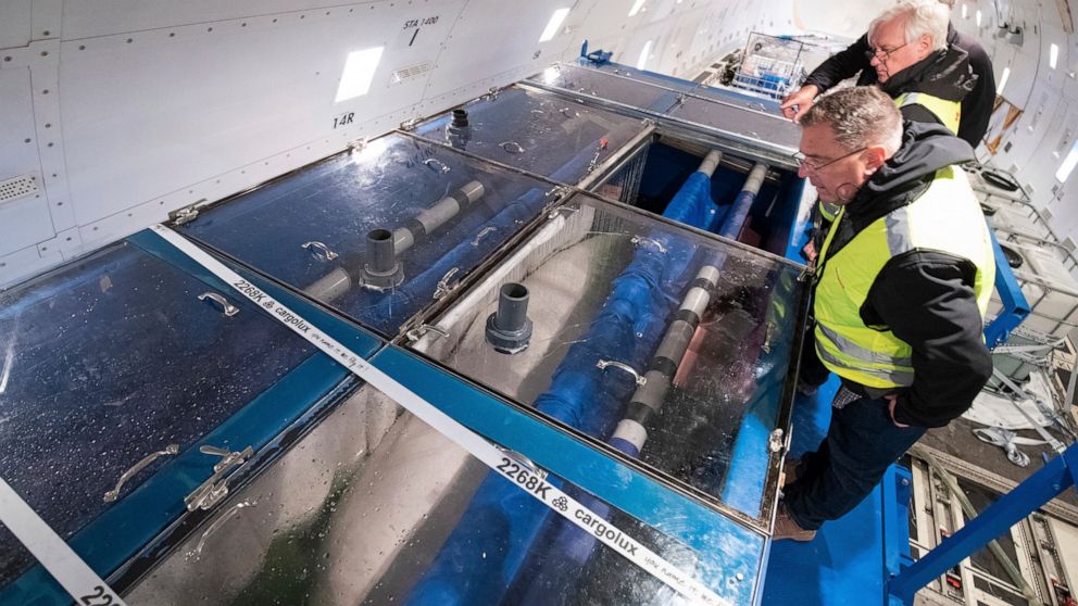 Two Beluga whales touch down at Keflavík Airport in Iceland, Wednesday, June 19, 2019, where they are being re-homed in an open-water sanctuary after spending years in captivity in a Shanghai aquarium. The Cargolux Boeing 747-400ERF freighter aircraf
