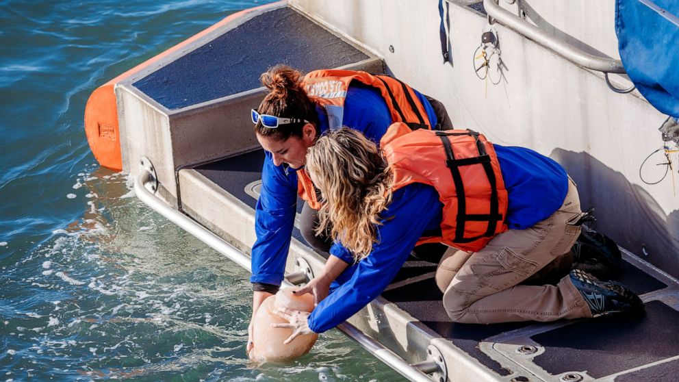 Clearwater Marine Aquarium vice president of zoological care Kelly Martin, left, and aquarium veterinarian Dr. Shelly Marquardt, release the ashes of Winter the Dolphin into the Gulf of Mexico from the back of a U.S. Coast Guard response boat, Thursd