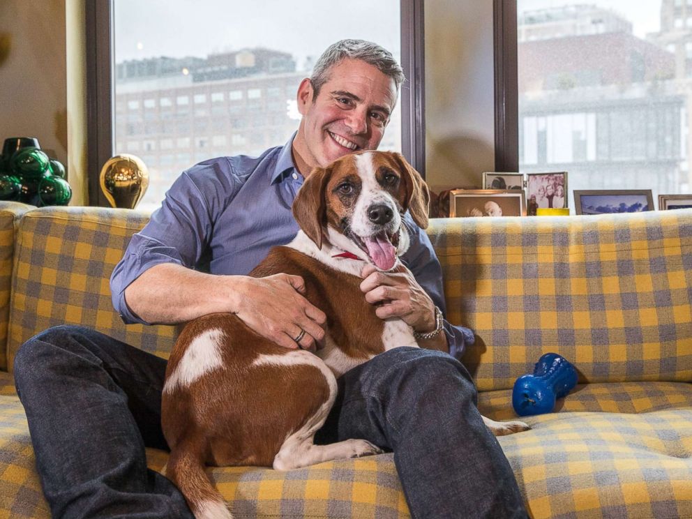 PHOTO: Andy Cohen poses with his rescue dog, Wacha, in an undated handout photo.