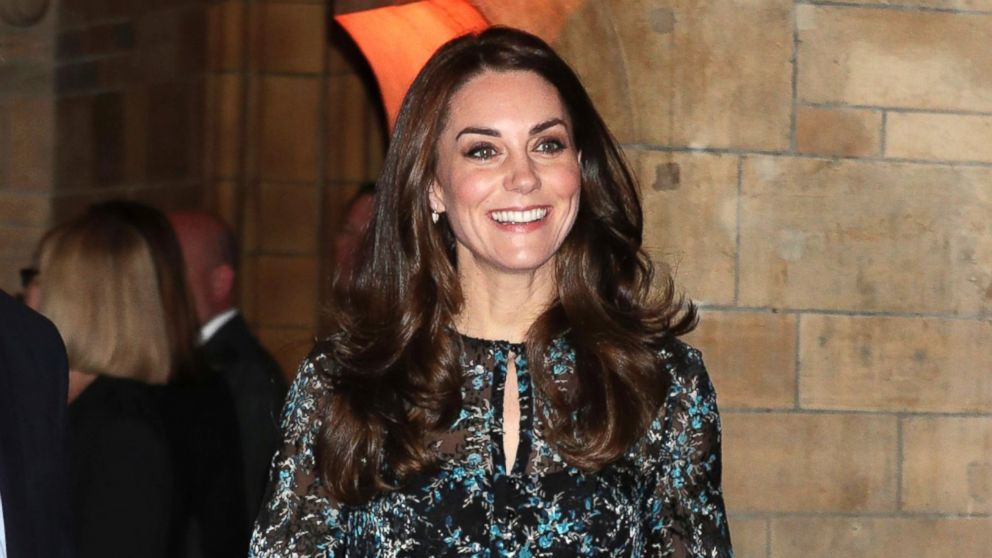 On Trial For Princess Kate Topless Photos Abc News