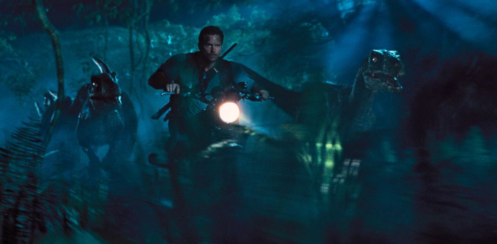 PHOTO: This photo provided by Universal Pictures shows, Chris Pratt as Owen leading the raptors on a mission in a scene from the film, "Jurassic World". 