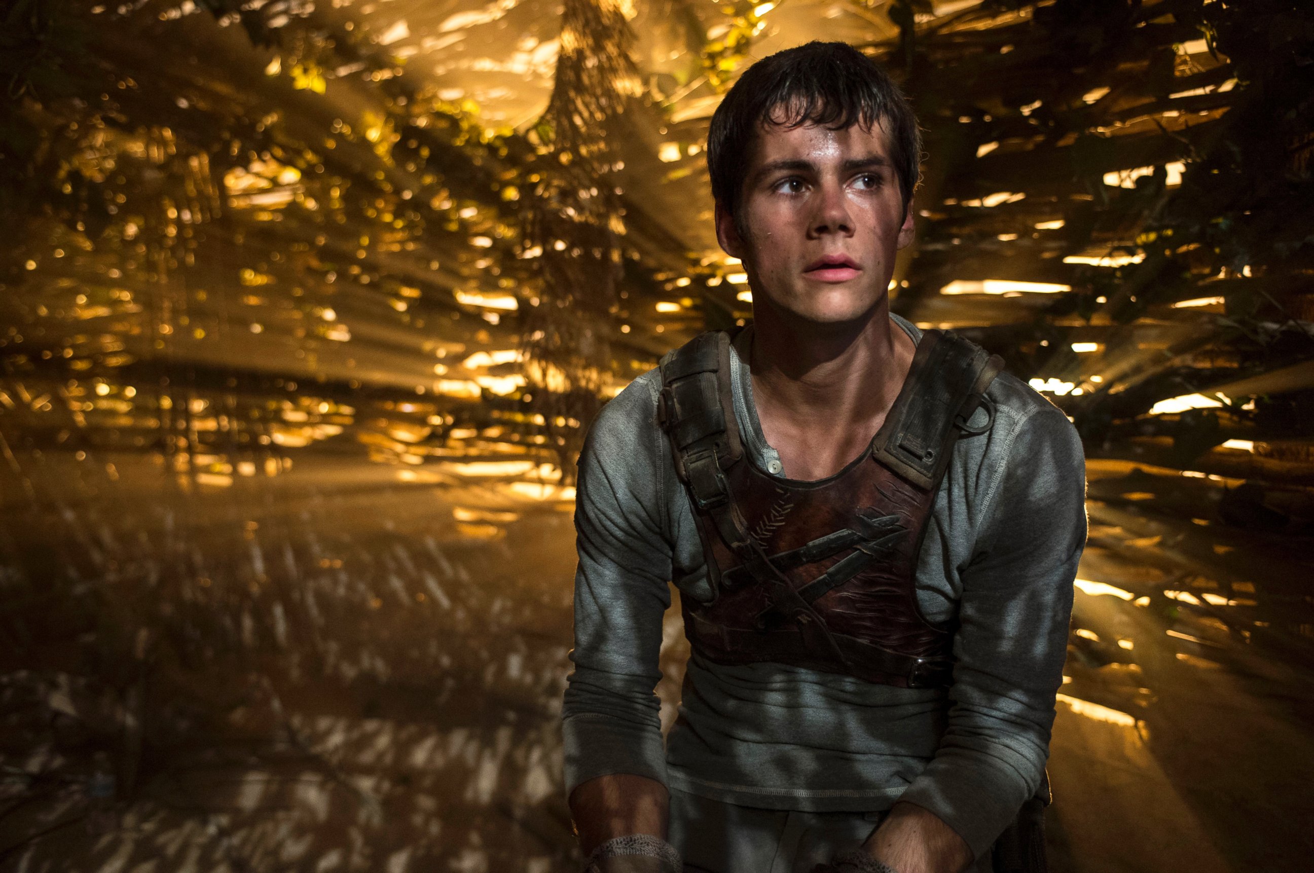 PHOTO: In this image released by 20th Century Fox, Dylan O'Brien appears in a scene from "The Maze Runner." 