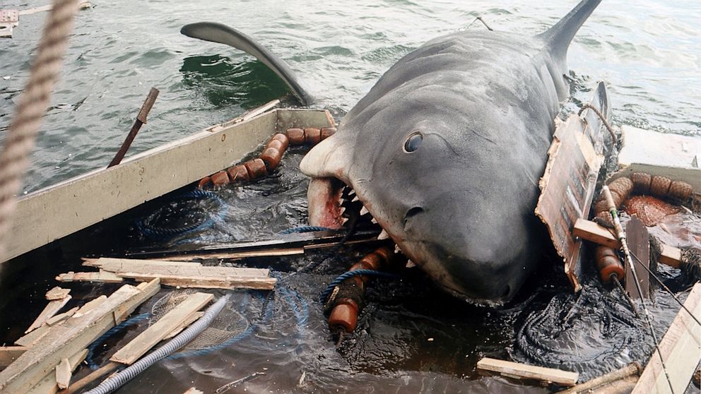 I was just doing a little research about sharks and accidentally discovered  that the underside of a great white shark looks like an evil laughing demon  - Meme Guy