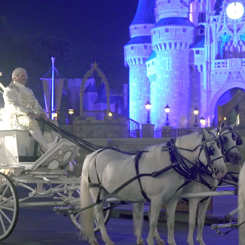 VIDEO: How Walt Disney World creates magical and memorable weddings