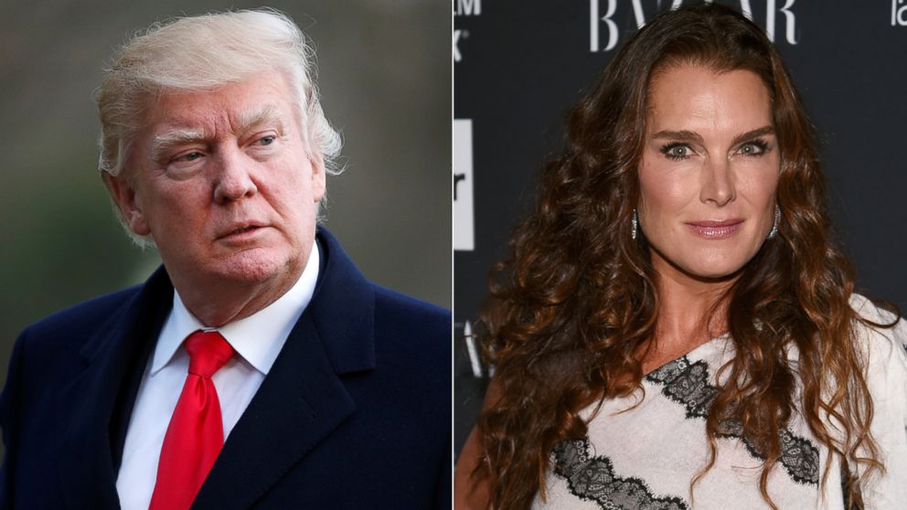 Pictured (L-R) are President Donald Trump in Washington, D.C., March 19,2017 and Brooke Shields in New York City, Sept. 8, 2017.