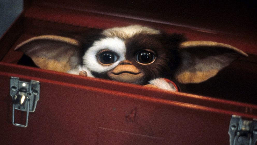 Cute little furry thingy hides in a tool box in a scene from the film "Gremlins," 1984. 