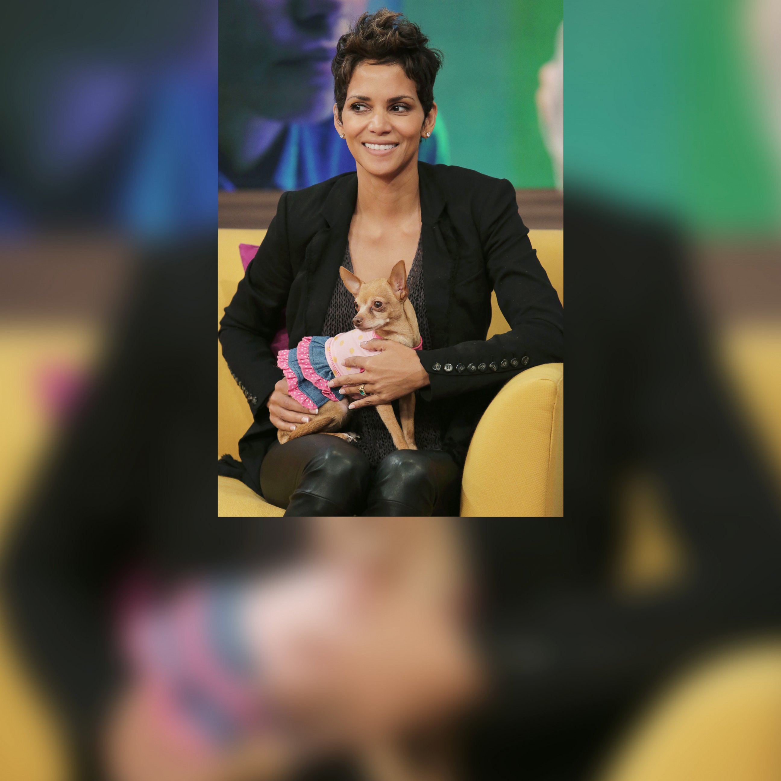 PHOTO: Halle Berry appears on Univision's Despierta America to promote her film "The Call" at Univision Headquarters on Feb. 27, 2013 in Miami, Fla.