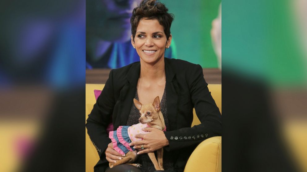 Halle Berry's New Instagram: The Photos We Wish She'd Post - Good ...