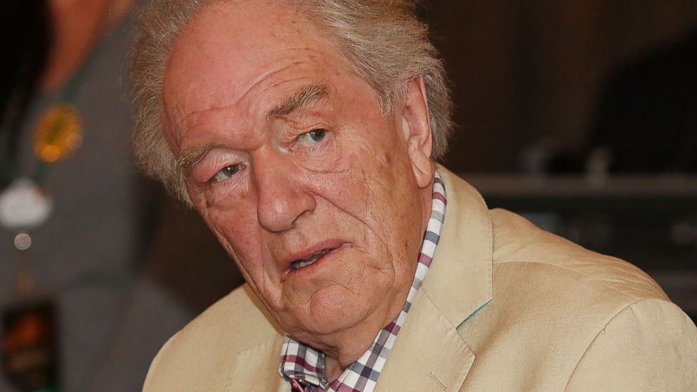 Michael Gambon participates in "A Celebration of Harry Potter at Universal Orlando" on Jan. 30, 2015 in Orlando, Fla.