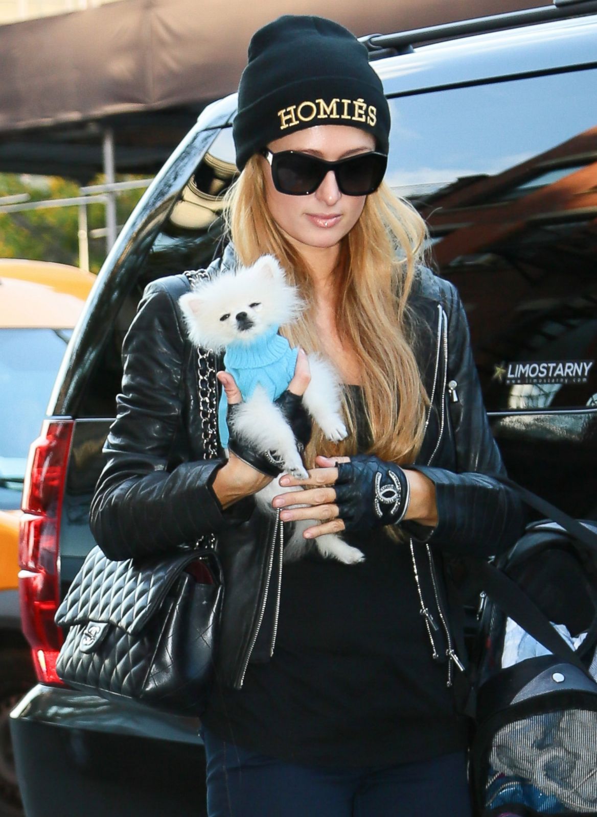 The Stylish Way Paris Hilton Keeps Her Puppy Warm Picture | Celebs and ...