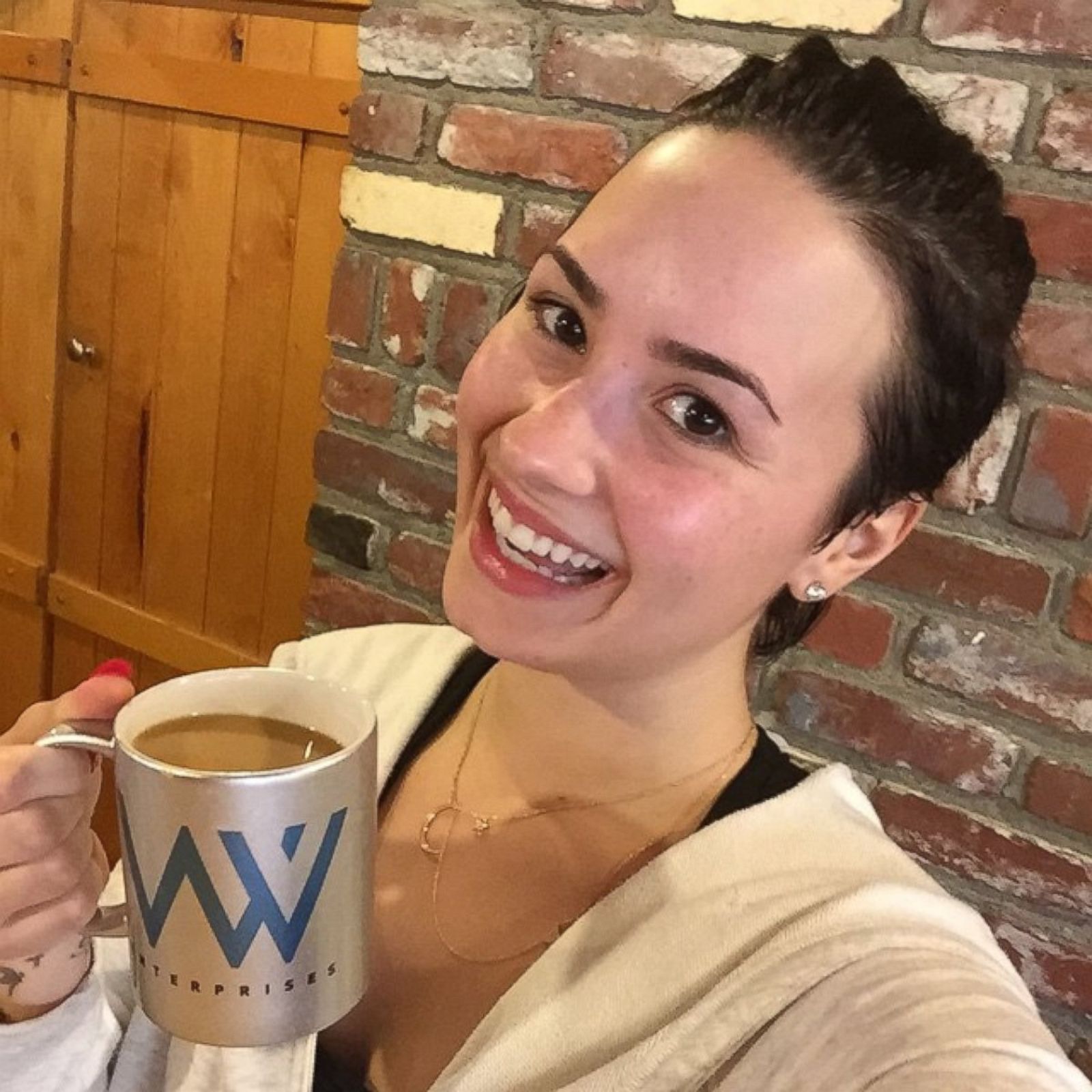 Demi Lovato Shares A No Makeup Selfie Picture Celebrities Without Makeup Abc News