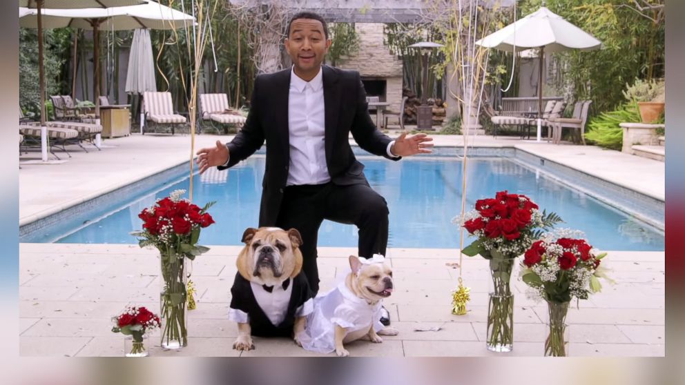 PHOTO: John Legend appears in video posted to YouTube on April 1, 2015 with the title, "John Legend Dog Wedding (for Charity)." 