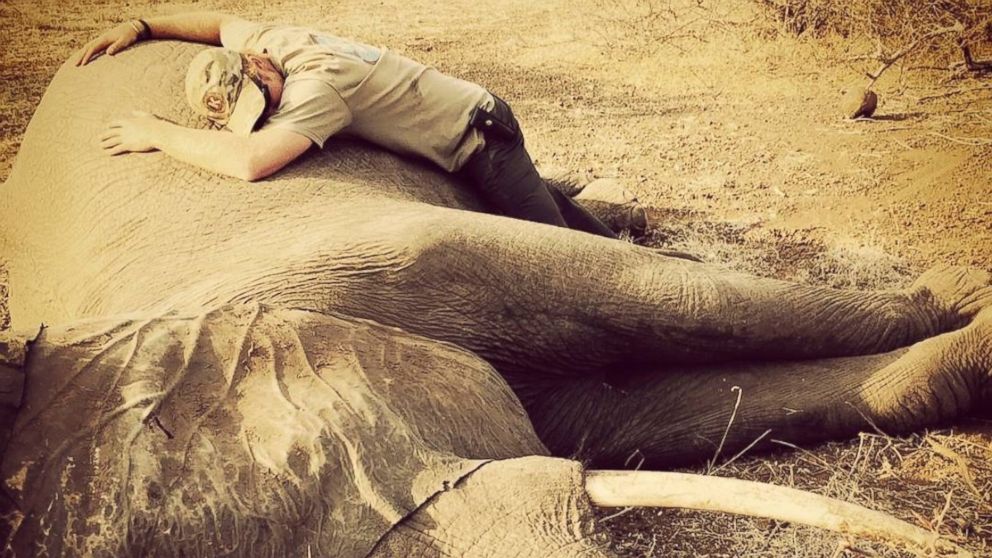 A photo to Instagram, Dec. 2, 2015, captioned by Prince Harry "After a very long day in Kruger National Park, with five rhinos sent to new homes and three elephants freed from their collars - like this sedated female - I decided to take a moment."