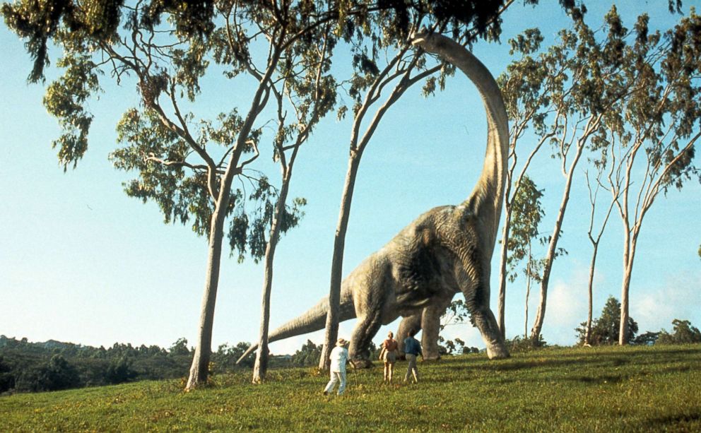 PHOTO: A brontosaurus eats leaves in a scene from the film 'Jurassic Park', 1993.