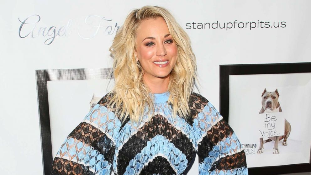 PHOTO: Kaley Cuoco attends the 7th Annual Stand Up For Pits, Nov. 5, 2017 in Los Angeles. 