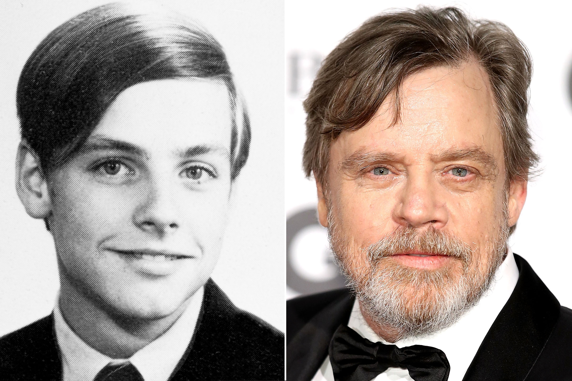 Mark Hamill Picture | Before they were famous - ABC News