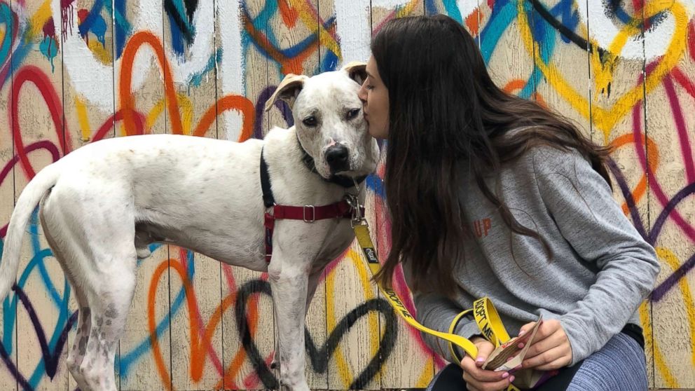 PHOTO: Aiden Horwitz created a puppy match app for prospective adopters.