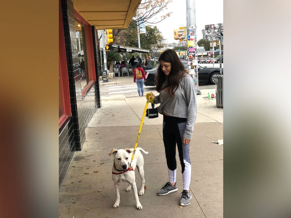 PHOTO: Aiden Horwitz created a puppy match app for prospective adopters.