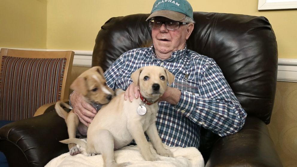 PHOTO: Adoptable puppies from North Shore Animal League America visit seniors at the Oyster Bay Senior Campus to raise the spirits of residents living with dementia and Alzheimer's.