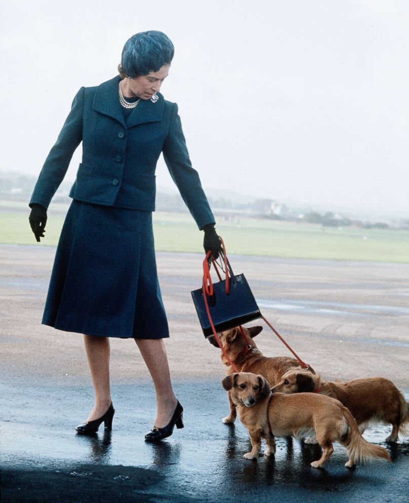 PHOTO: Queen Elizabeth II arrives at Aberdeen Airport with her corgis to start her holidays in Balmoral, Scotland in 1974. 