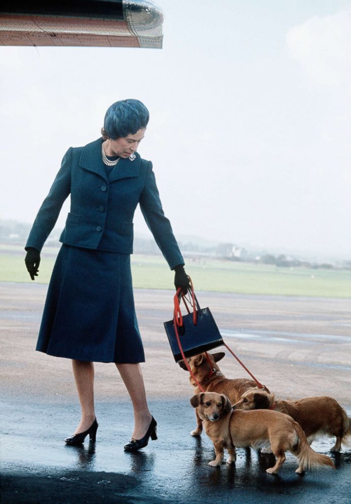 PHOTO: Queen Elizabeth II arrives at Aberdeen Airport with her corgis to start her holidays in Balmoral, Scotland in 1974. 