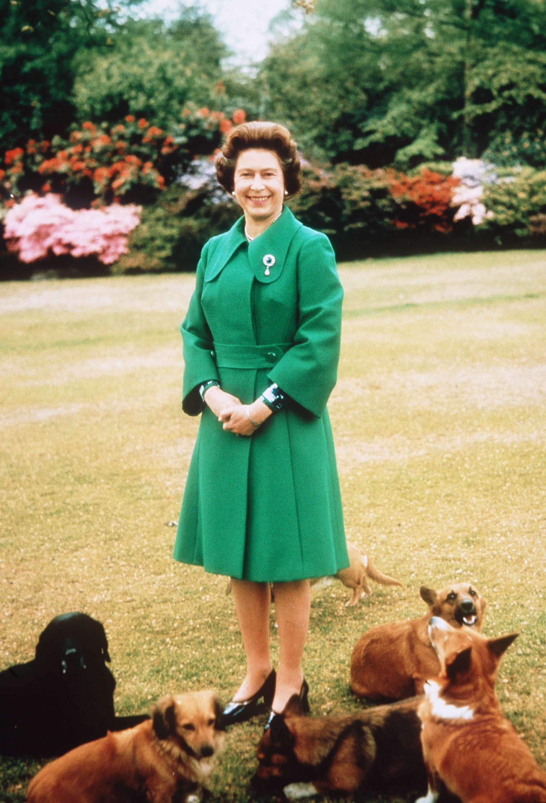 PHOTO: Queen Elizabeth II relaxes at Sandringham, Norfolk, England with her corgis in this undated file photo. 