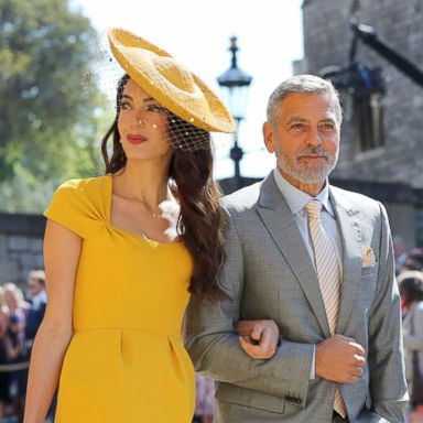 17 of the best hats worn at the royal wedding, London Evening Standard