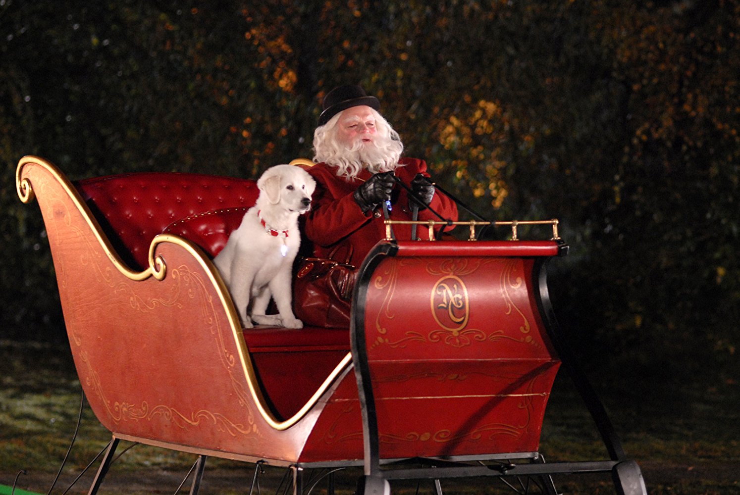 PHOTO: The Search for Santa Paws, 2010.