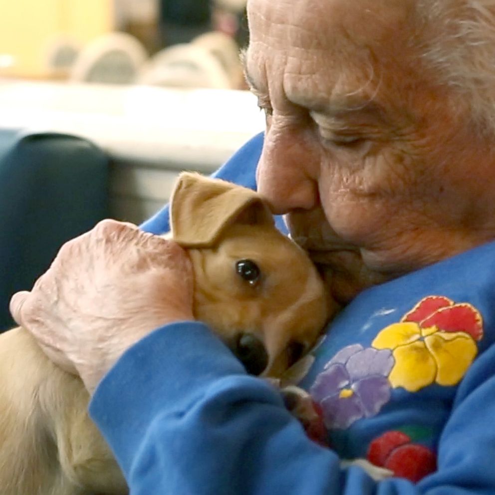 VIDEO: Adoptable puppies help local seniors living with dementia and Alzheimer's