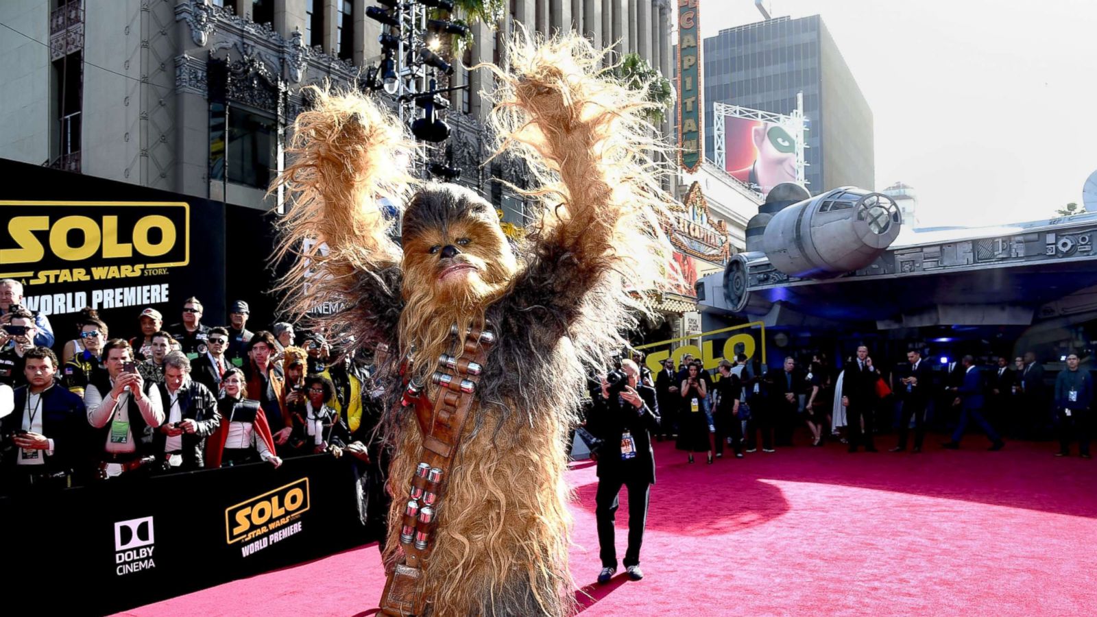 PHOTO: Chewbacca attends the premiere of "Solo: A Star Wars Story" at the El Capitan Theatre on May 10, 2018 in Los Angeles.