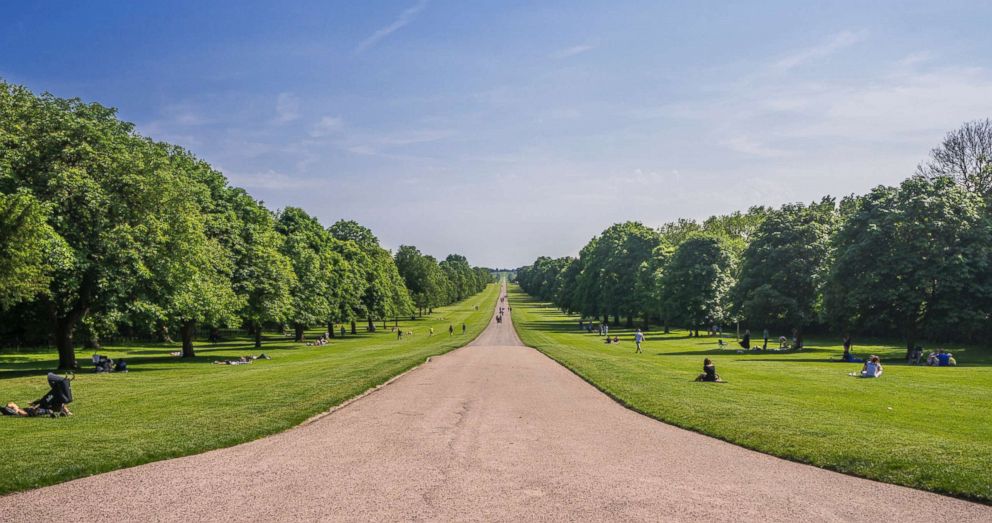 PHOTO: The Long Walk of Windsor Great Park in England is pictured in this undated stock photo.