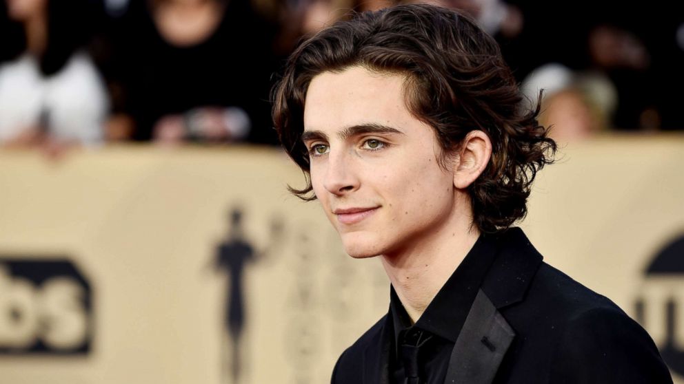 Oscar nominee Timothee Chalamet on 'Call Me by Your Name,' and the time he  embarrassed himself with 'Lady Bird' co-star Saoirse Ronan - ABC News