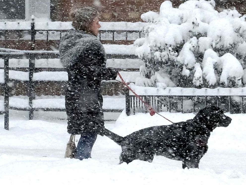 PHOTO: Dogs and their owners take a walk during a massive winter storm, Jan. 4, 2018, in New York City. 