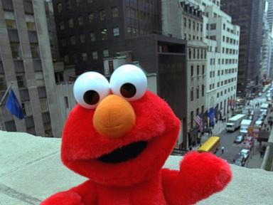 Why Tickle Me Elmo And Bingo Deserve A Spot In The Toy Hall Of Fame