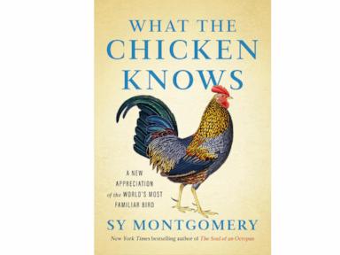 Book Review: Sy Montgomery shares ‘What the Chicken Knows’ in new mini hardcover