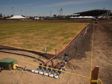 Infrastructure as Destiny The Structural Mechanics of Cricket Expansion in the United States