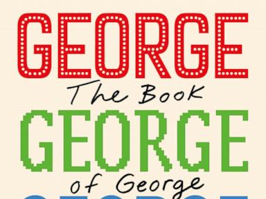 Book Review: 'The Book of George' is a witty novel in lively episodes like a first-rate TV sitcom