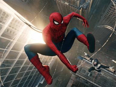 The Last Great Sanctuary of the Shared Dark