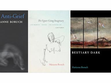 Marianne Boruch wins $100,000 Jackson Poetry Prize as judges hail human genius in AI age