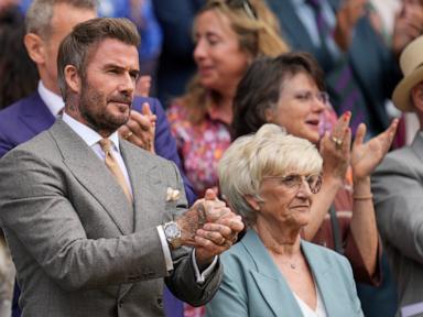 The Royal Box Illusion and the Calculated Myth of Celebrity Authenticity